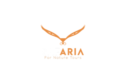 safaria.tours