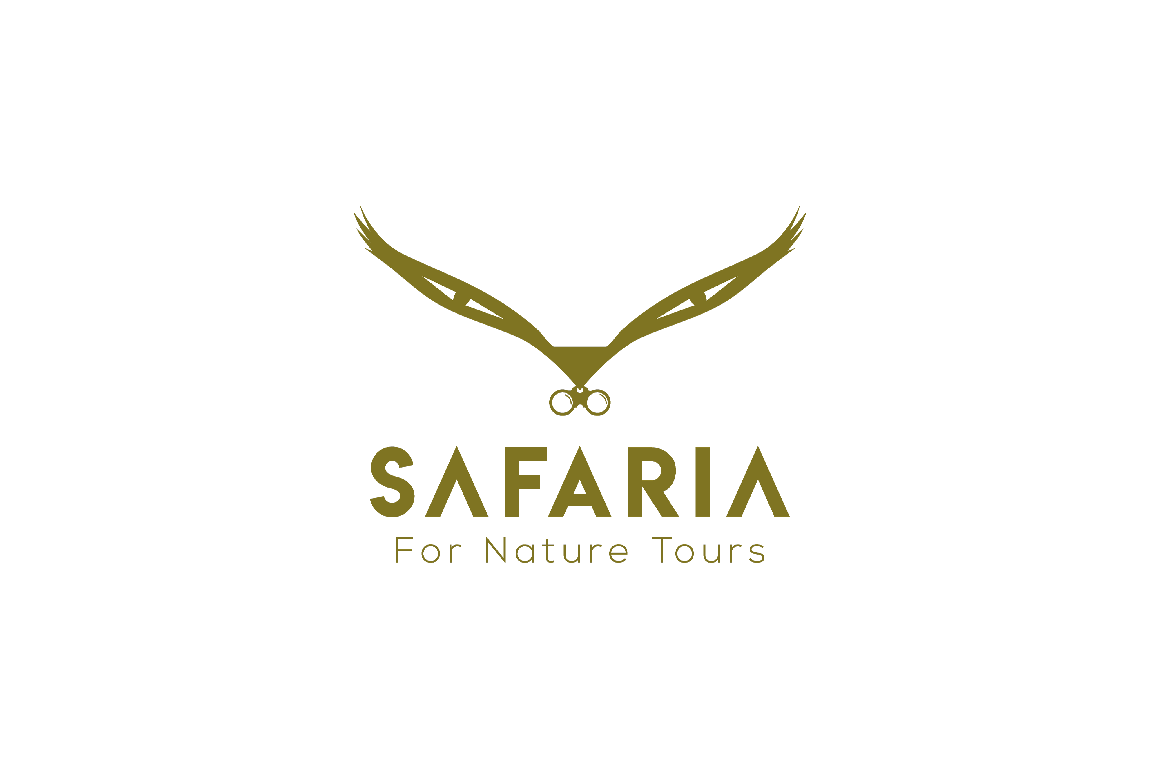 safaria.tours